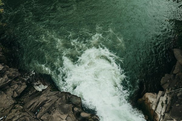 Survivre à la mer : La sécurité sur les croisières