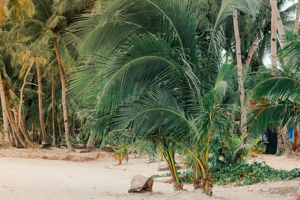 Les 7 meilleures adresses de riads au maroc pour votre voyage